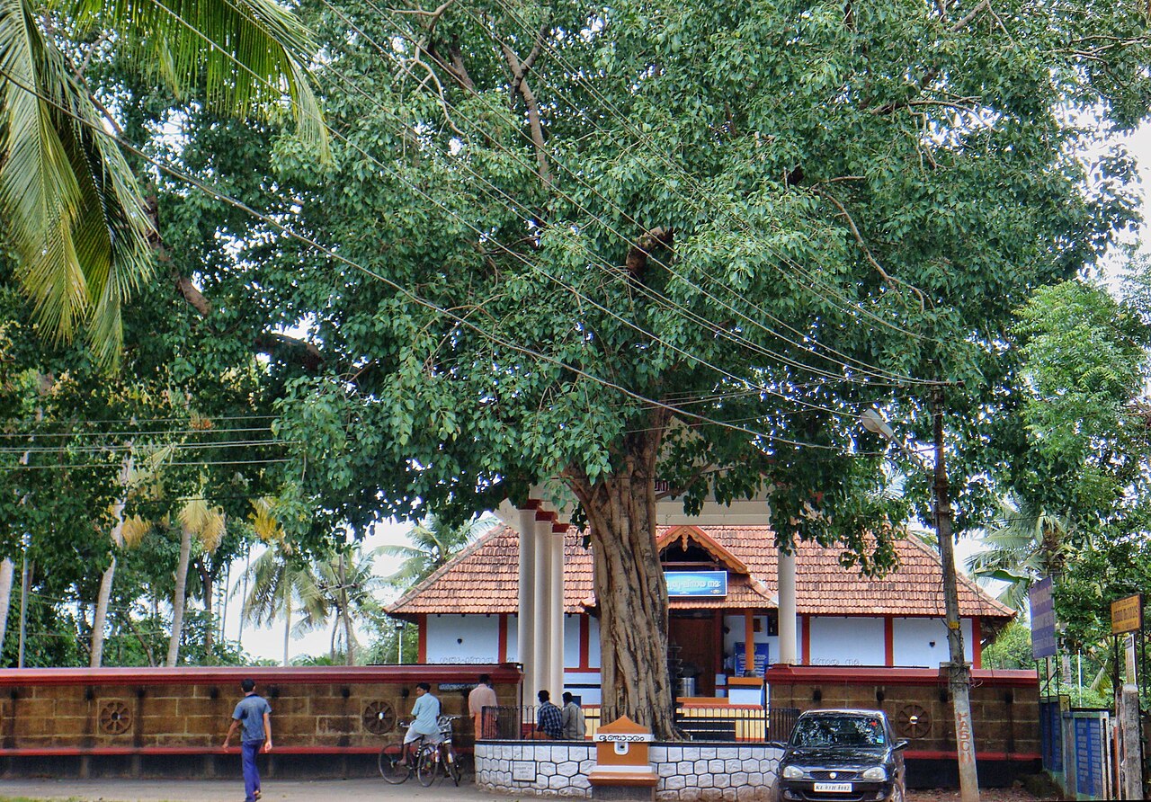 Shatrughna Temple