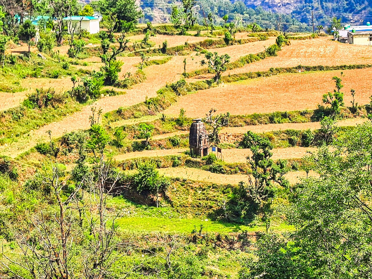 Damyanti Temple, Hyun