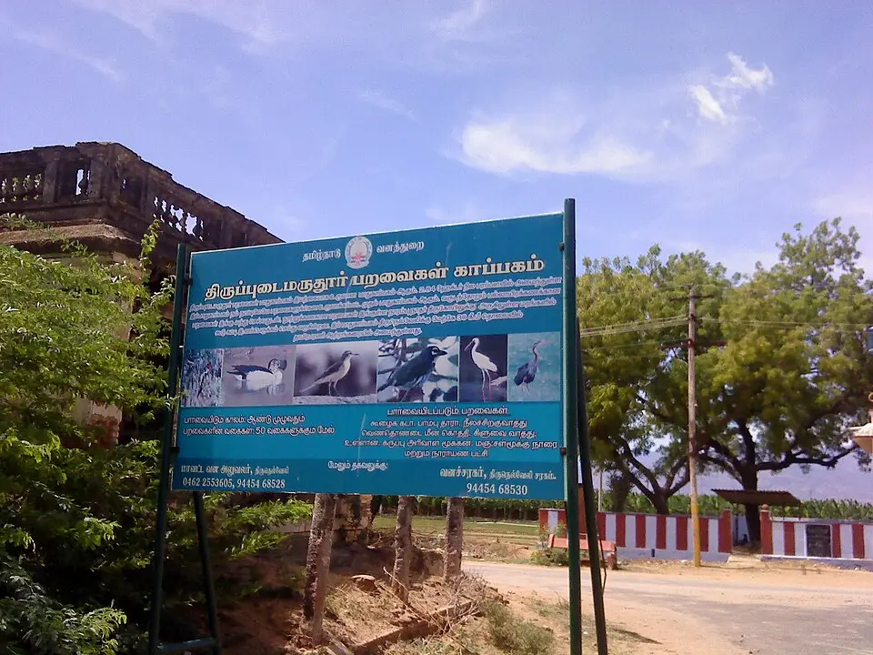 Thiruppudaimarudur