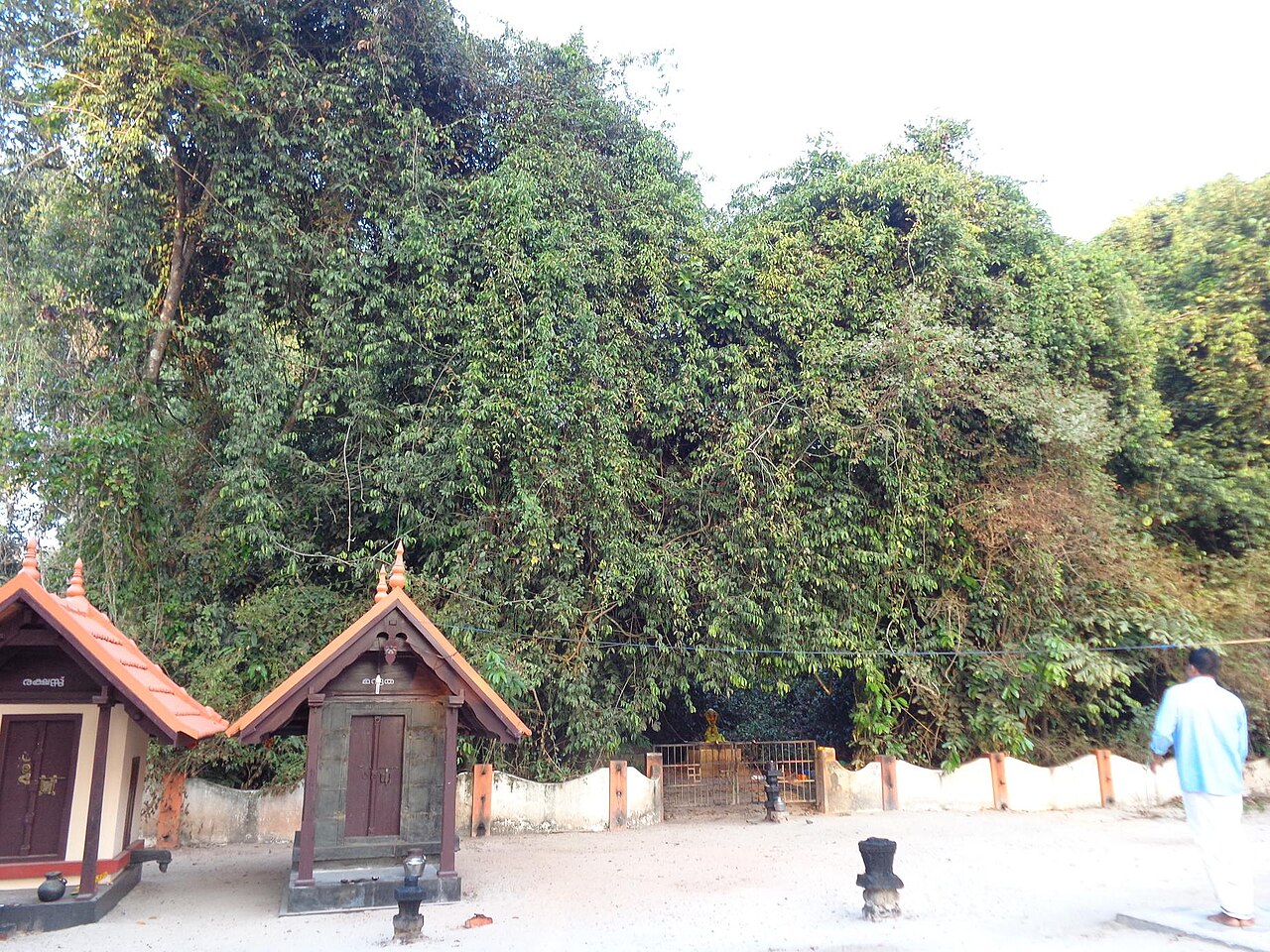 Mullikulangara Devi Temple