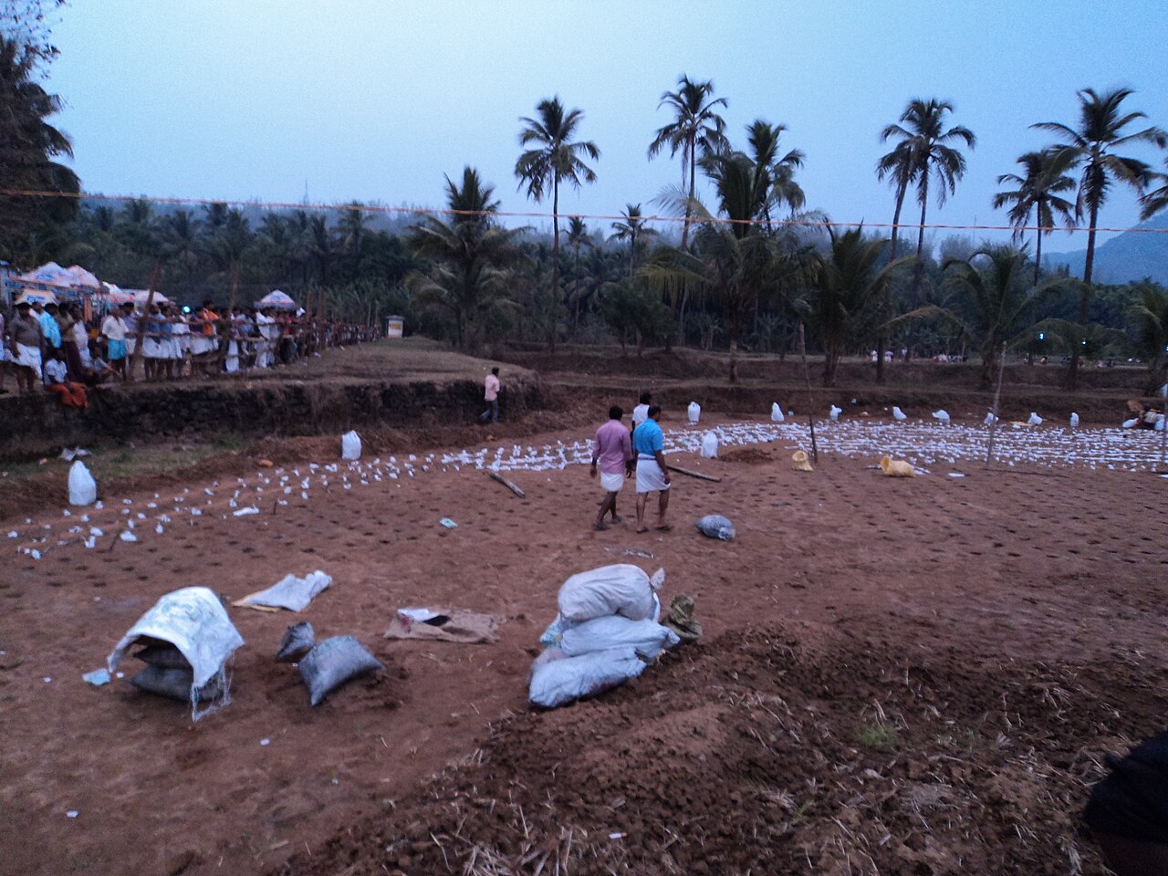 Uthralikavu Pooram