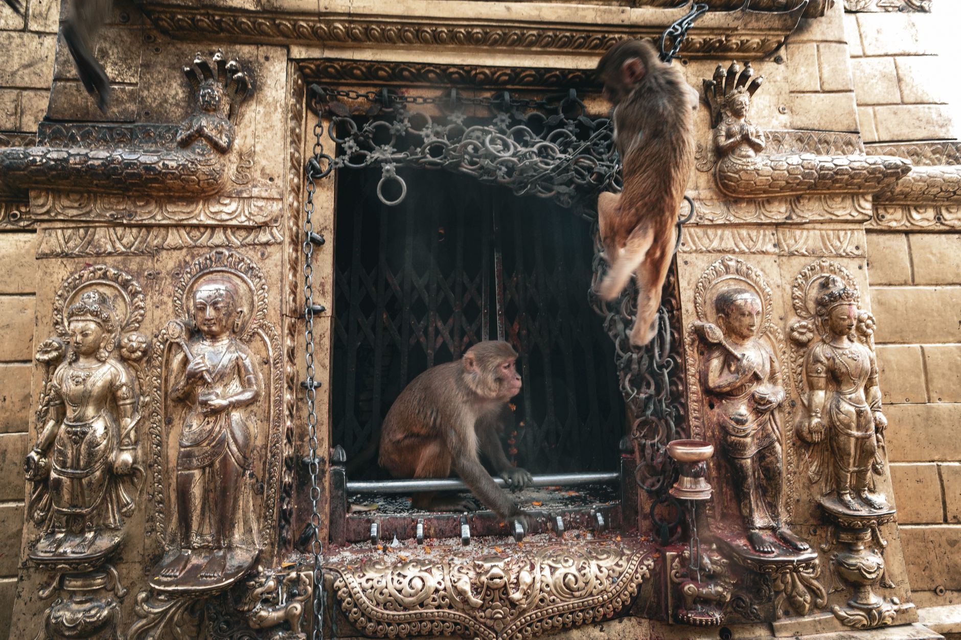 Bindhyabasini Temple