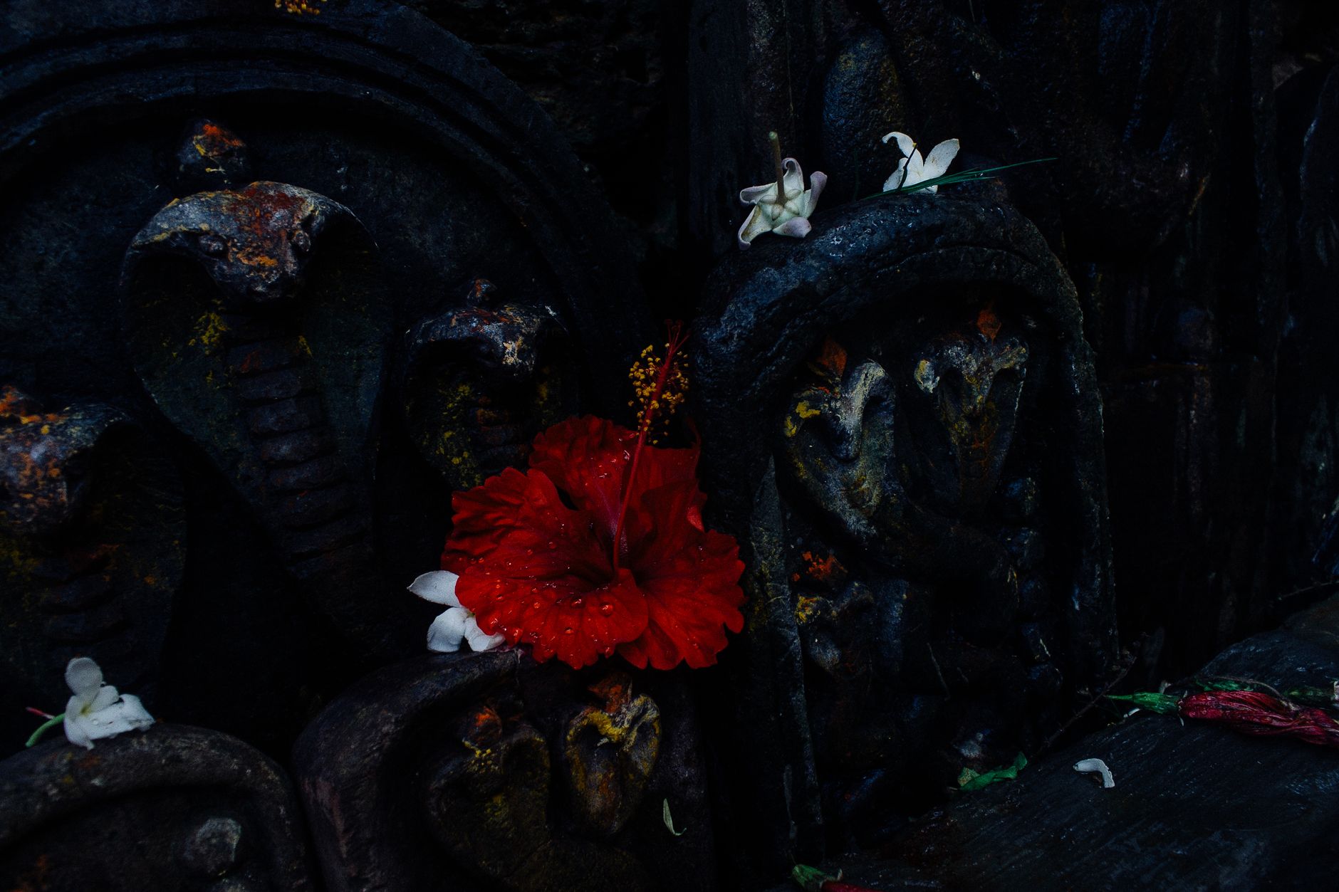 Anikulangara Temple Sholayar