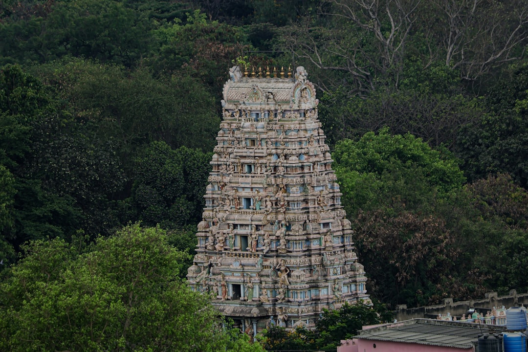 Aadhipureeswarar Temple(Thiruvotteeswarar)