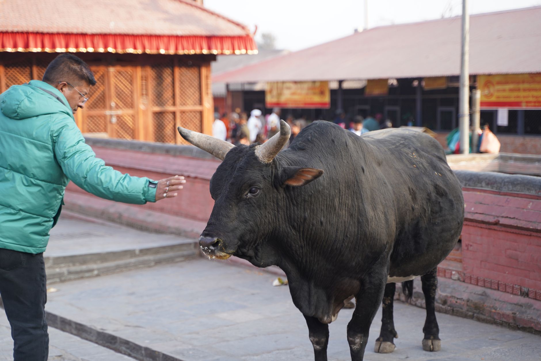 Bull Temple